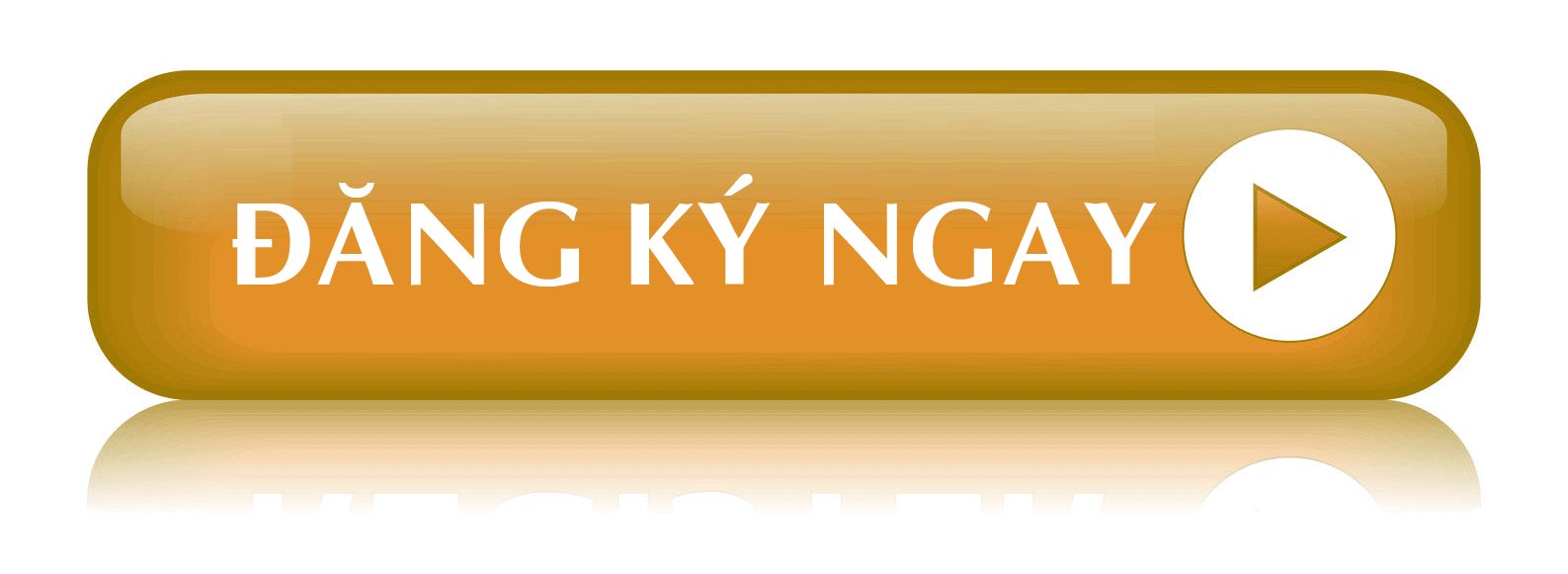 Đăng ký ngay